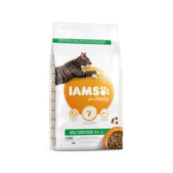 IAMS Cat Adult Fish & Chicken 10kg