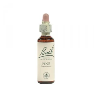 Bach Beech (Beuk) - 20 Ml