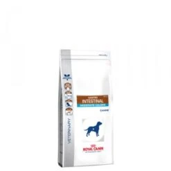 Royal Canin Veterinary Diet Gastro Intestinal Moderate Calorie Hondenvoer 2 Kg -HondHap Verkoop product royal canin gastro intestinal moderate calorie hond 2 kg medpets 3 1421056728 14470