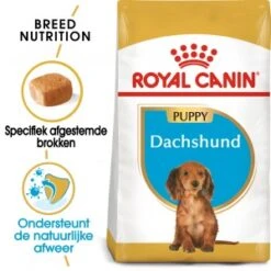 Royal Canin Junior Teckel/Dachshund Hondenvoer 1.5 Kg -HondHap Verkoop royal canin dachshund junior hondenvoer