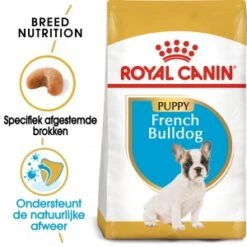 Royal Canin Junior Franse Bulldog Hondenvoer 10 Kg