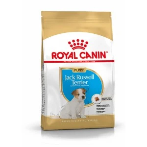 Royal Canin Jack Russell Terriër Junior Hondenvoer 1.5 Kg 3 Royal Canin Jack Russell Terriër Junior Hondenvoer 1.5 Kg - Afbeelding 3